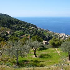 Vandra på Mallorca