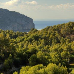 Golf de Andratx och Camp de Mar