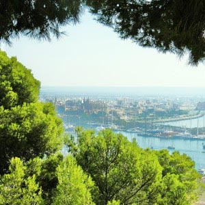 Fem framtida favoritställen i Palma